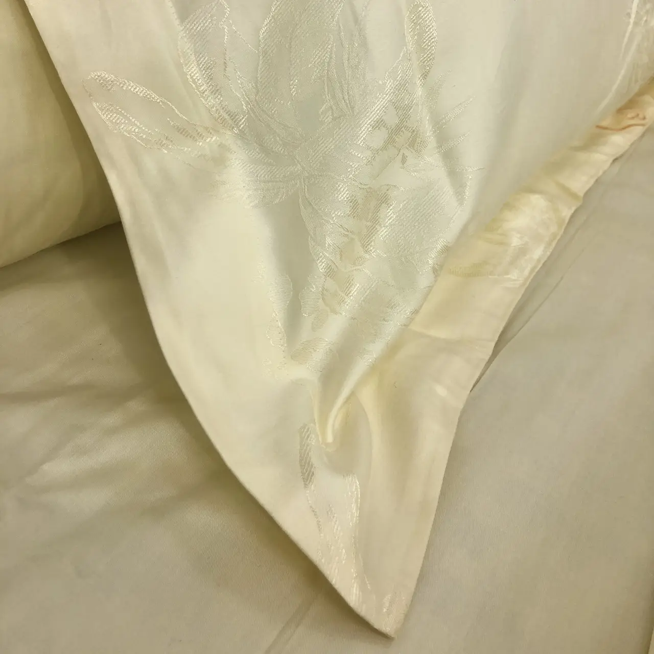 Постільна білизна Ailin жаккард з вишивкою євро 200×220 JE-41