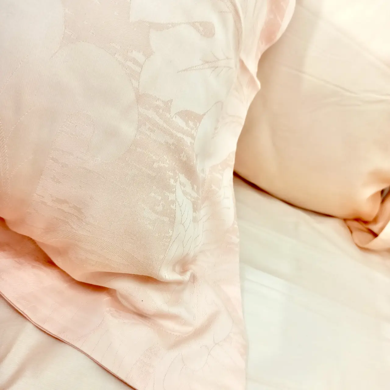 Постільна білизна Ailin жаккард з вишивкою євро  200×220 JE-40E